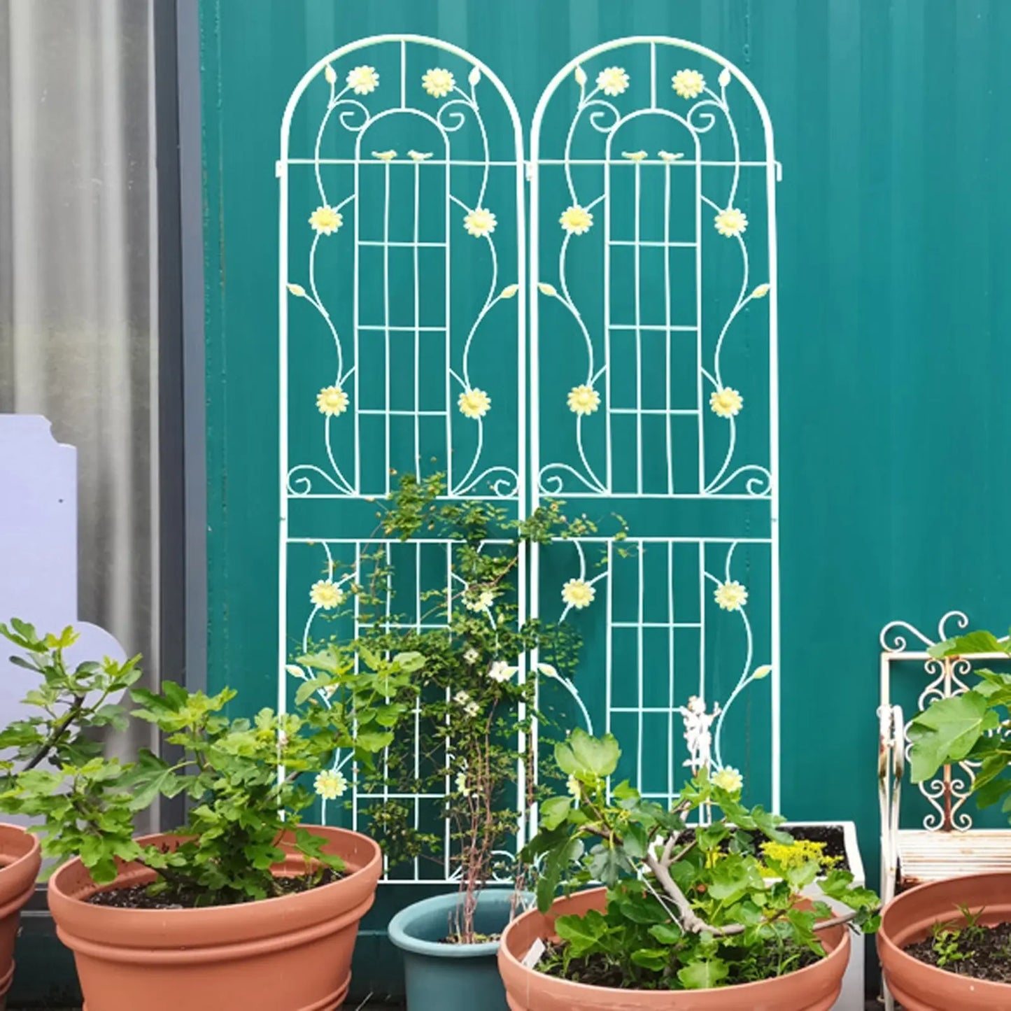 Garderion 2 Pack Metal Garden Trellis Rustproof for Climbing Plants Garderion