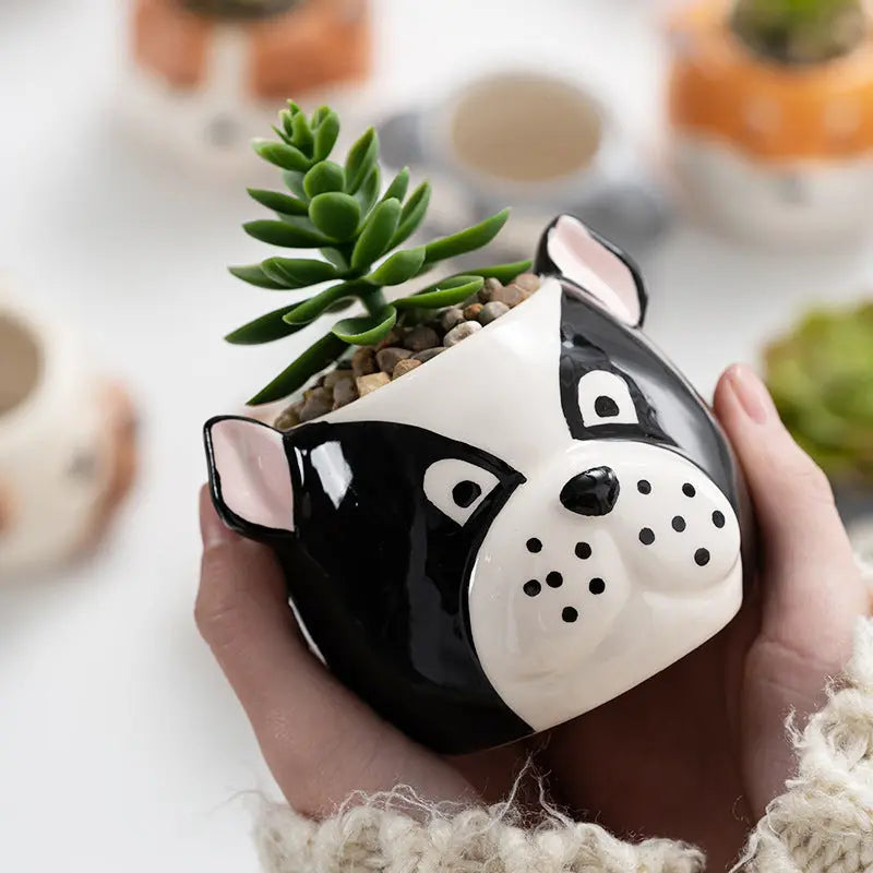 Garderion Ceramic Cartoon Animal Flowerpot – Cute Home Planter Garderion