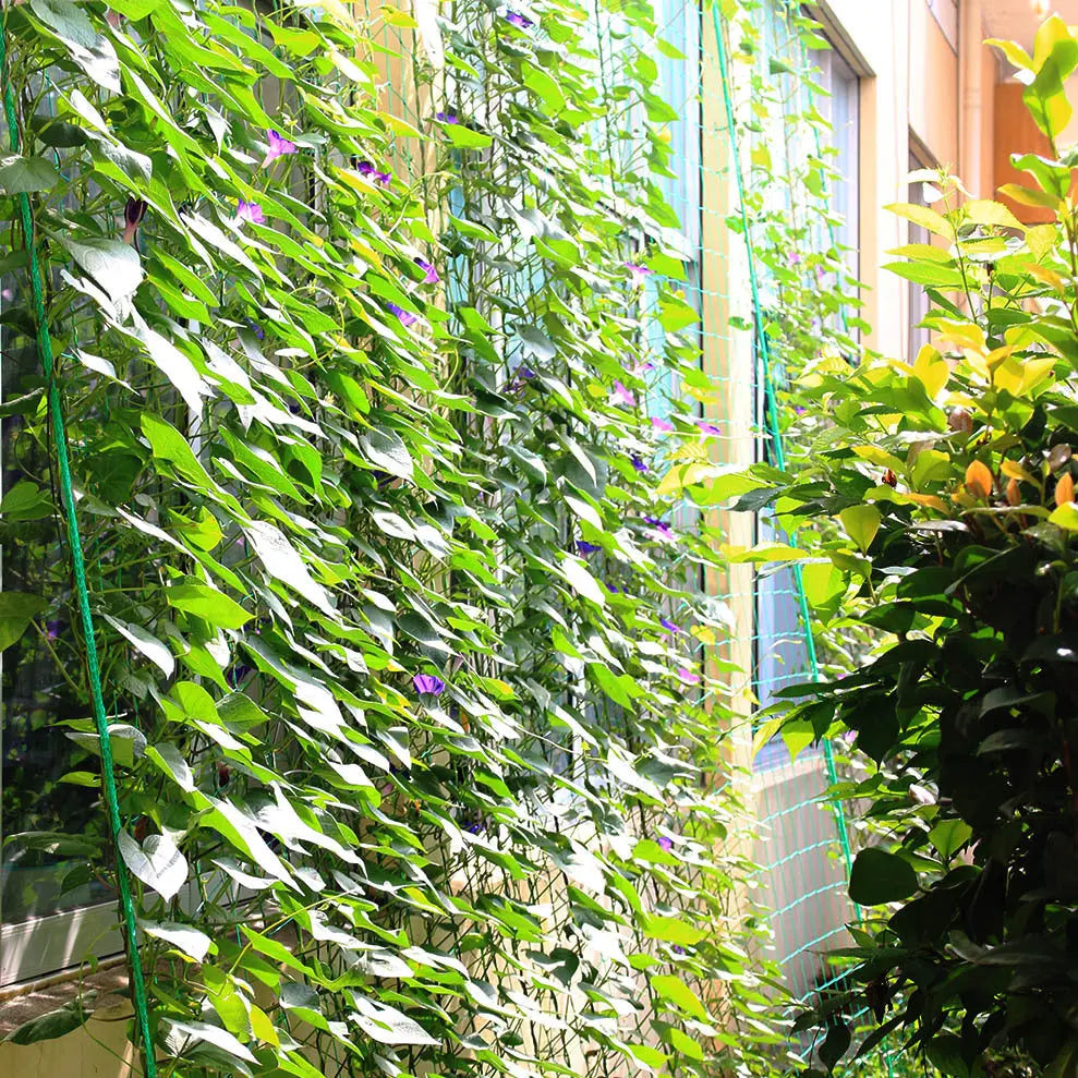 Garderion Gardening Net – Durable HDPE Rattan Net Garderion