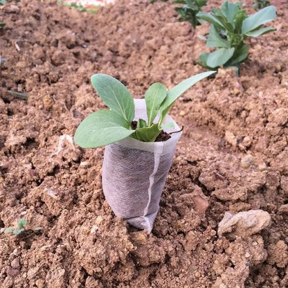 Garderion Non-Woven Gardening Planting Bag – Breathable Pot Garderion