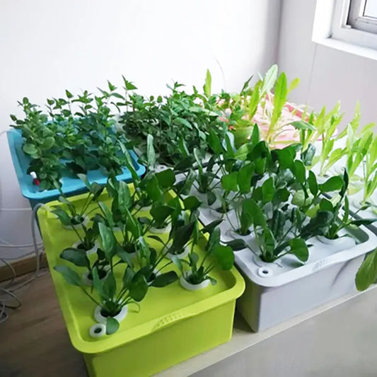 Garderion 24-Hole Hydroponic System Kit – Indoor Planter Garderion